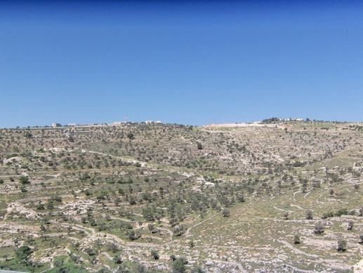 israel landscape hillside