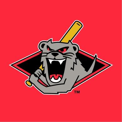 jamestown jammers 1