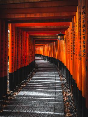 japan scenery picture empty wooden architectural walk way