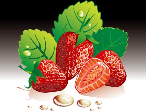 juicy fresh strawberries set vector