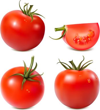 juicy fresh tomato graphics vector