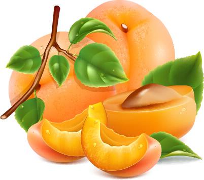 juicy peach and green leaf vector