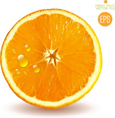 juicy slice oranges vector set