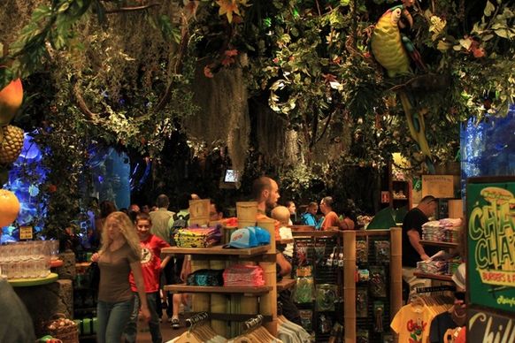 jungle themed shop in mall in minneapolis minnesota