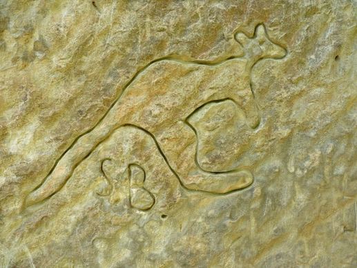 kangaroo art rock engraving