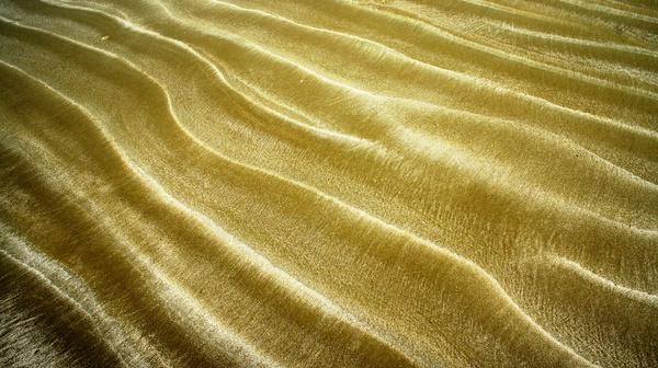 kiawah golden sands