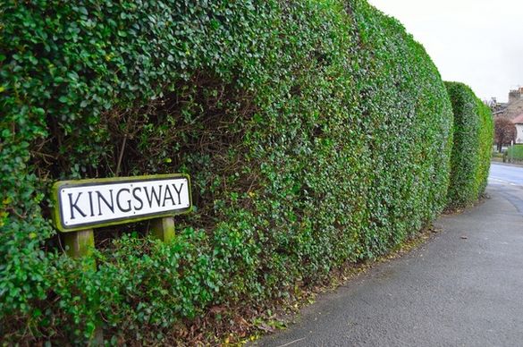 kingsway street