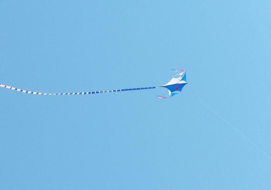kite flying in the air