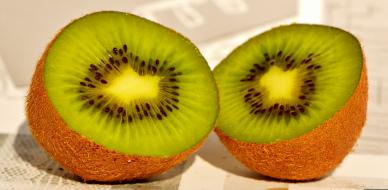 kiwi fruit picture backdrop elegant closeup