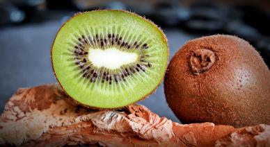 kiwi fruit picture realistic modern