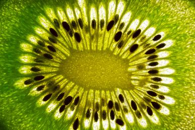 kiwi sliced backdrop picture elegant closeup