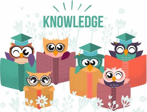 knowledge background cute stylized owl book icons decor