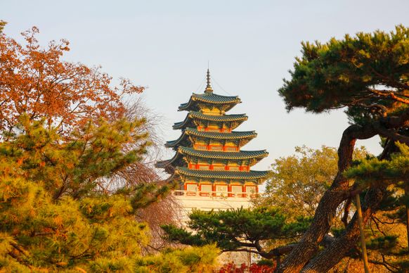 korea scenery picture elegant classic architectural castle trees