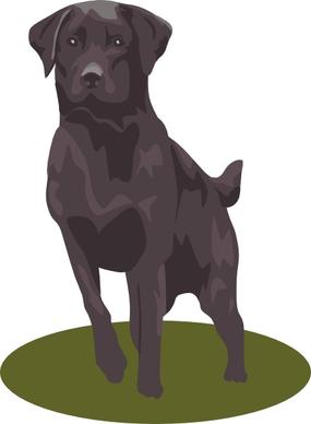 Labrador Retriever (black) clip art