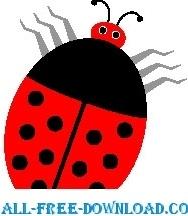 Ladybug 14