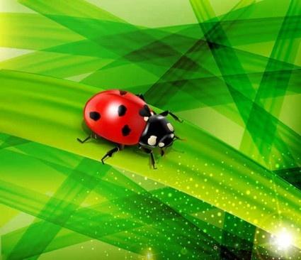ladybug and green nature background vector