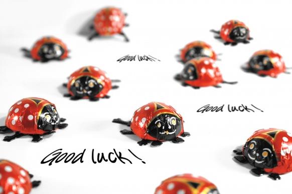 ladybug luck greeting card