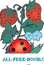 Ladybug on Leaf 2