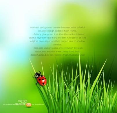 ladybug with leaves vector backgrounds