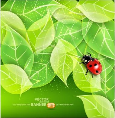 ladybug with leaves vector backgrounds