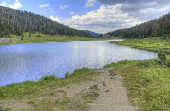 lake and forest at rocky mountains national park colorado