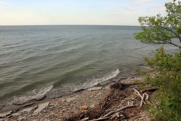lake erie shore at eerie bluffs state park pennsylvania