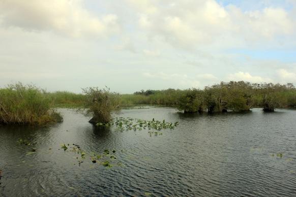 lake in the everglades in everglades national park florida