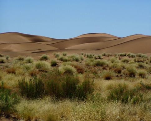 landscape africa desert