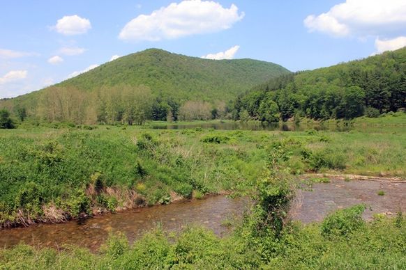 landscape hills and stream at sinnemahoning state park pennsylvania
