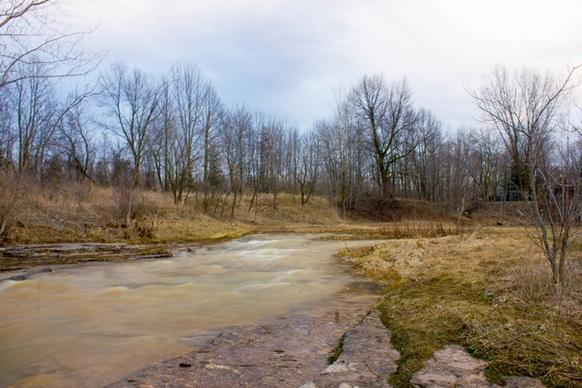 landscape of muddy pathway at fonferek glen wisconsin free stock photo