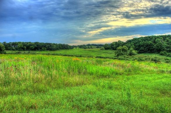 landscape of the natural area in madison wisconsin