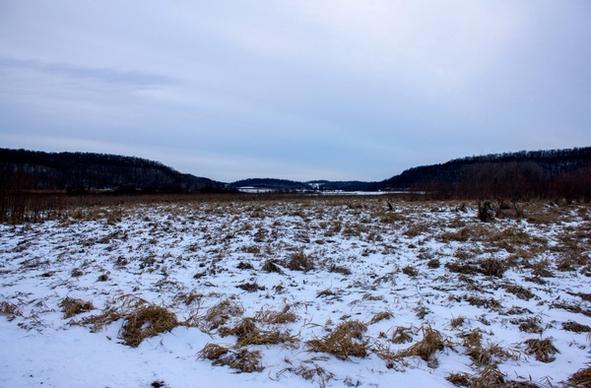 landscape of the snowy field in wisconsin