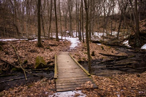 landscape with bridge across the creek at governor dodge state park wisconsin