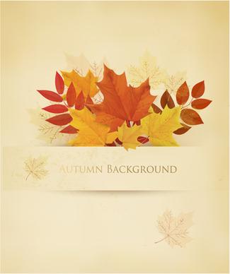 leaf autumn creative background vector