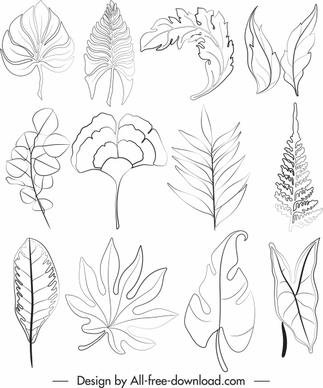 leaf icons black white handdrawn sketch