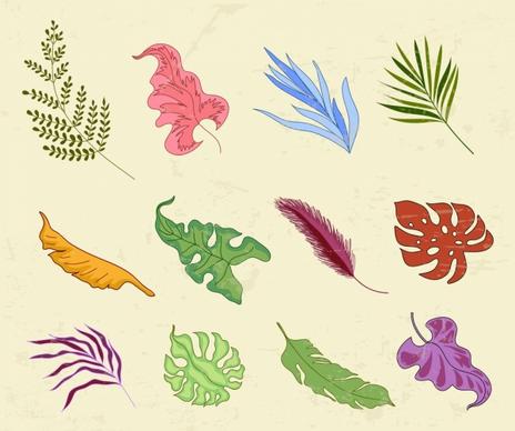 leaf icons collection multicolored shapes design