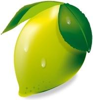 fresh lemon vector illustration on white background