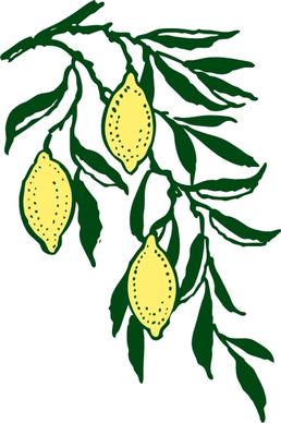 Lemon Branch clip art