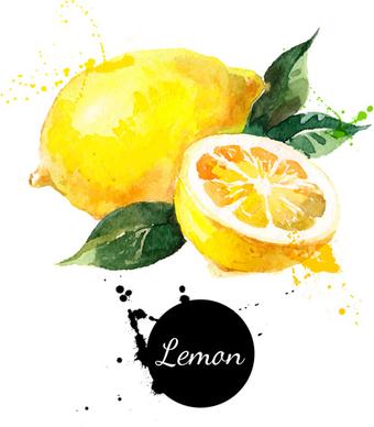 lemon watercolor vector