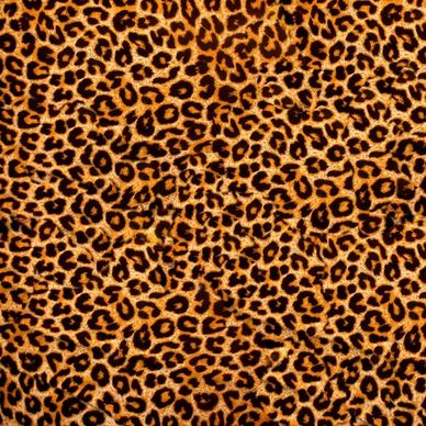 leopard flannel highdefinition picture 2