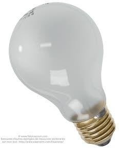 Light bulbs vector