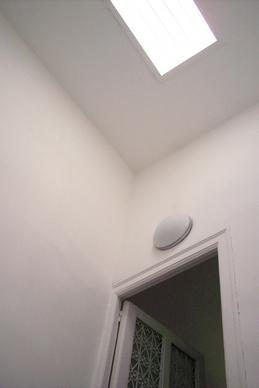 light skylight door