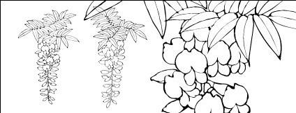 Line drawing of flowers -12