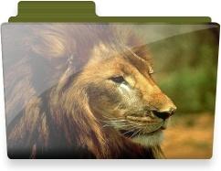 Lion folder