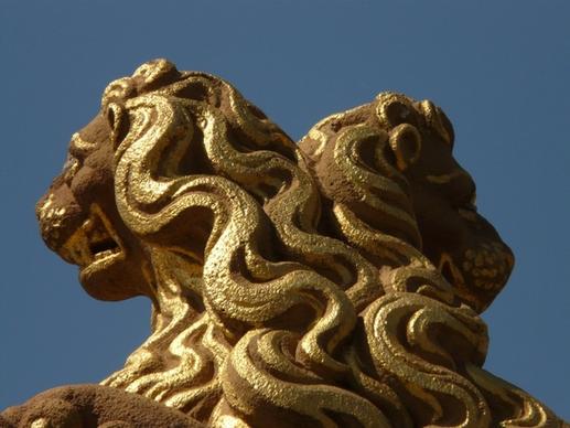 lion mane gold