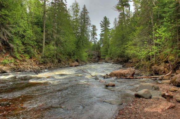 looking downstream at cascade river state park minnesota