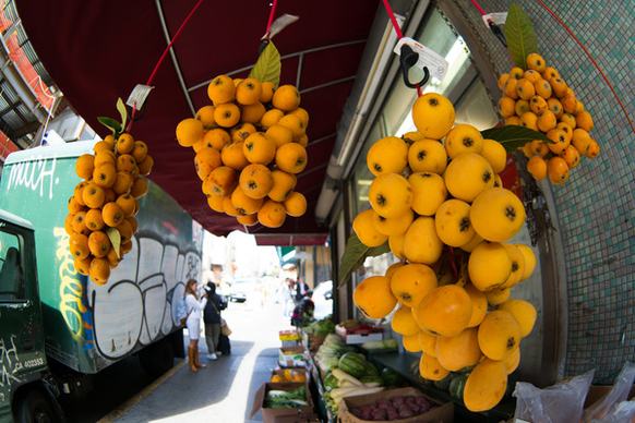 loquats in chinatown