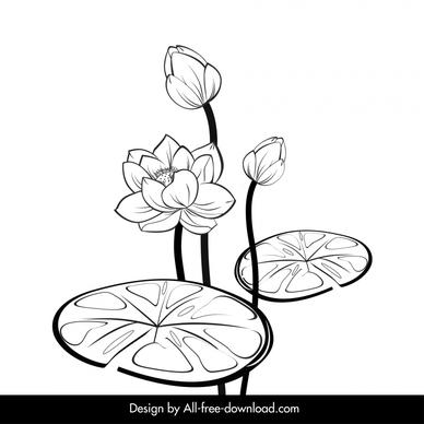 lotus backdrop classical black white handdrawn sketch