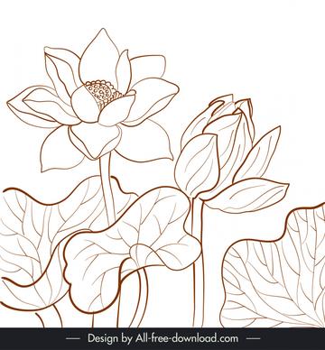 lotus flower blooming painting classical hand draw outline
