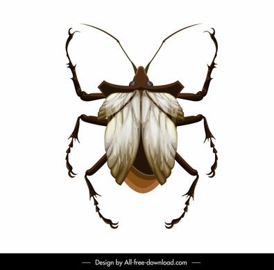louse insect icon colored closeup modern design